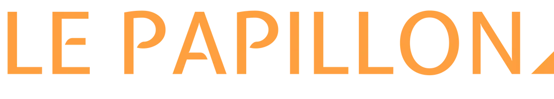 Logo Brise-Soleil Papillon, la version brise soleil horizontal à volet relevable